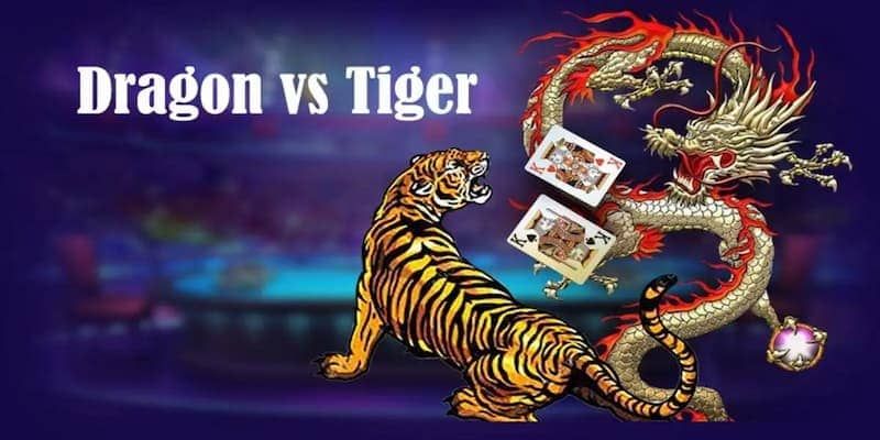 3 nội dung cơ bản cần lưu ý trong cách chơi rồng hổ 789WIN