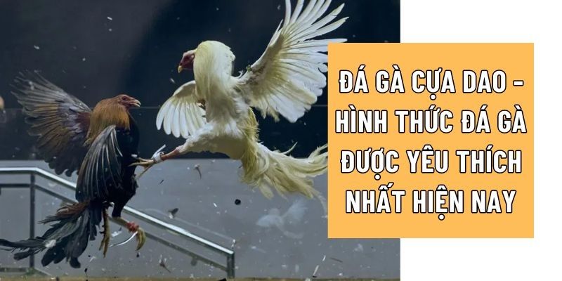 Giai đoạn kết thúc quá trình thi đấu