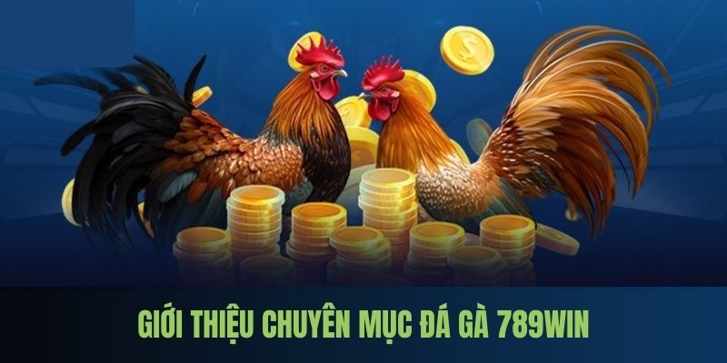 Phân tích thông tin cơ bản về đá gà thomo