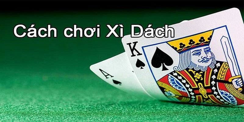 Xì Dách - Tổng Quan Luật Chơi Và Mẹo Tham Gia Chi Tiết Tại 789WIN